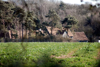 Distant view of Gastlings seen from the road March 2008